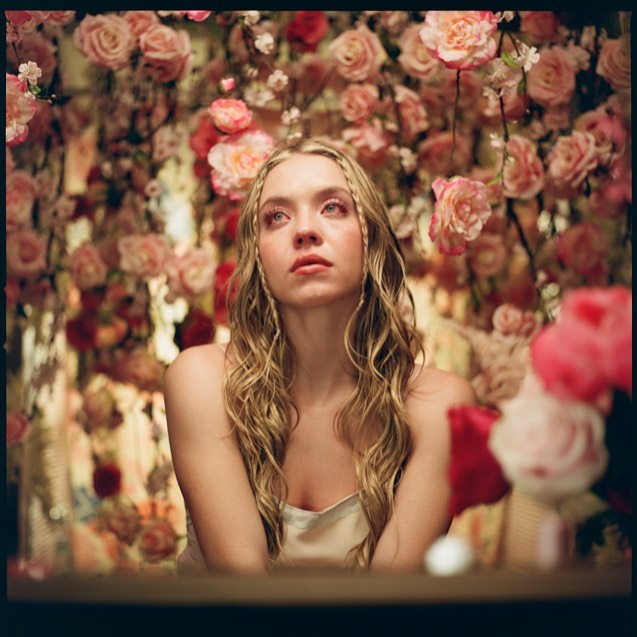 a closeup shot of a young woman with long, wavy blonde hair surrounded by a profusion of pink and white roses. the woman is looking upward with a slightly pensive expression. the background is completely filled with flowers, creating a soft, romantic and dreamy atmosphere.  she appears to be wearing a lightcolored, lownecked dress. the image has a soft focus, emphasizing the ethereal quality of the scene. it looks like a still image from a film or photoshoot.