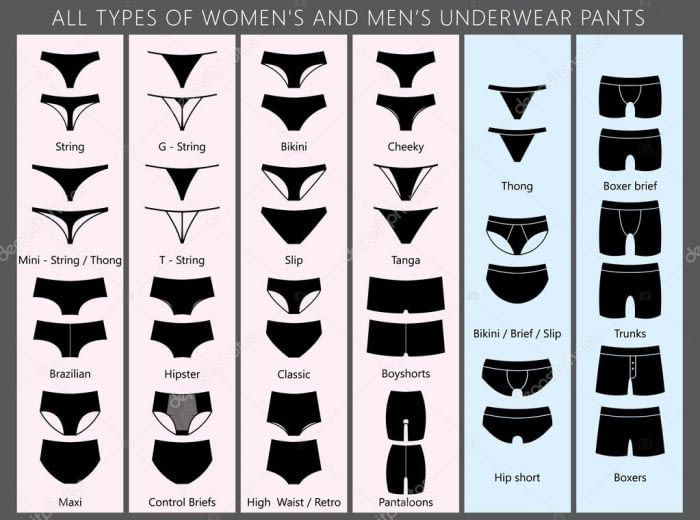 the image shows a chart of different types of women's and men's underwear pants. the chart includes illustrations and names for various styles such as string, gstring, bikini, cheeky, thong, boxer brief, trunks, and more.