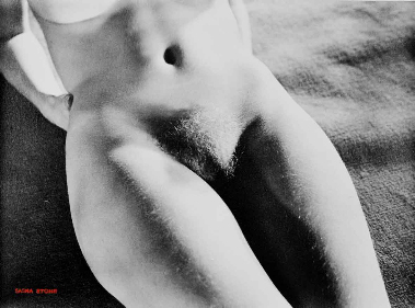 the image is a black and white, closeup photograph of a male torso from the waist up.  the subject is nude, and the focus is on the texture and form of the body, particularly the abdomen and pubic area.  the lighting is dramatic, with strong contrasts between light and shadow, creating a highcontrast image. the pubic hair is visible and noticeable. the overall aesthetic is one of stark beauty and simplicity. the image is credited to sascha stone. the background is a textured, dark surface.