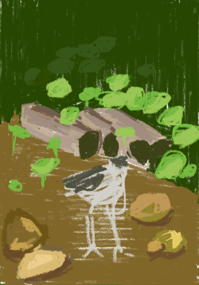the image is a stylized digital painting or illustration depicting a bird standing on the ground amidst greenery.  the bird is rendered simply, with black and white markings on a light gray body and long legs. the ground is depicted in shades of brown, and there are various shapes suggestive of pebbles or stones.  the background shows dark green foliage, with light green leafy plants in the foreground and midground. the style is somewhat abstract and whimsical, with a textured quality to the paint strokes.  the overall mood is peaceful and natural.
