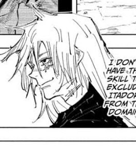 a manga panel featuring a closeup of a man with long white hair and a scar under his left eye. he has a neutral expression and is looking to the left. the panel includes a speech bubble with text that reads: "i don't have the skill to exclude itadori from the domain". the image is in black and white.