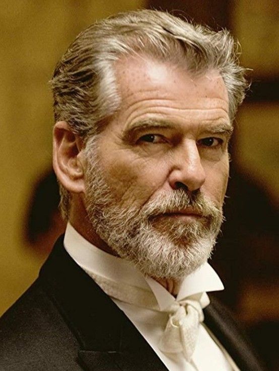 a portrait of pierce brosnan with gray hair and a beard, wearing a suit and tie.