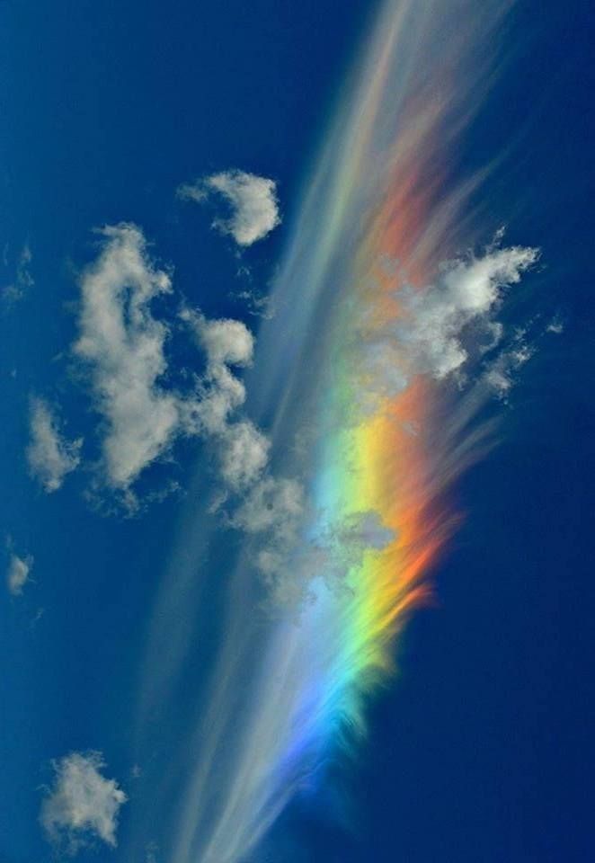 a stunning iridescent cloud formation with a rainbow embedded in it is shown against a bright blue sky. the cloud appears to be very wispy and airy and the rainbow is very clear with a full spectrum of colors.