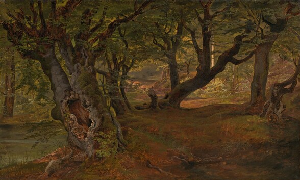 the image is a painting of a forest with old trees covered in moss. sunlight filters through the foliage, illuminating a path through the woods. the trees have gnarled trunks and branches.