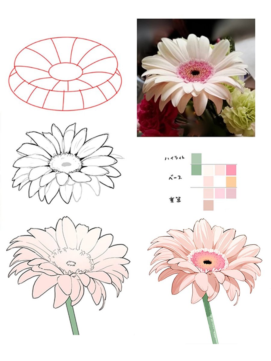 the image displays a stepbystep guide on how to draw a gerbera flower. it begins with a basic geometric structure, progresses through a detailed sketch, and culminates in two colorized illustrations with shading. a color palette is provided as reference for coloring the flower.