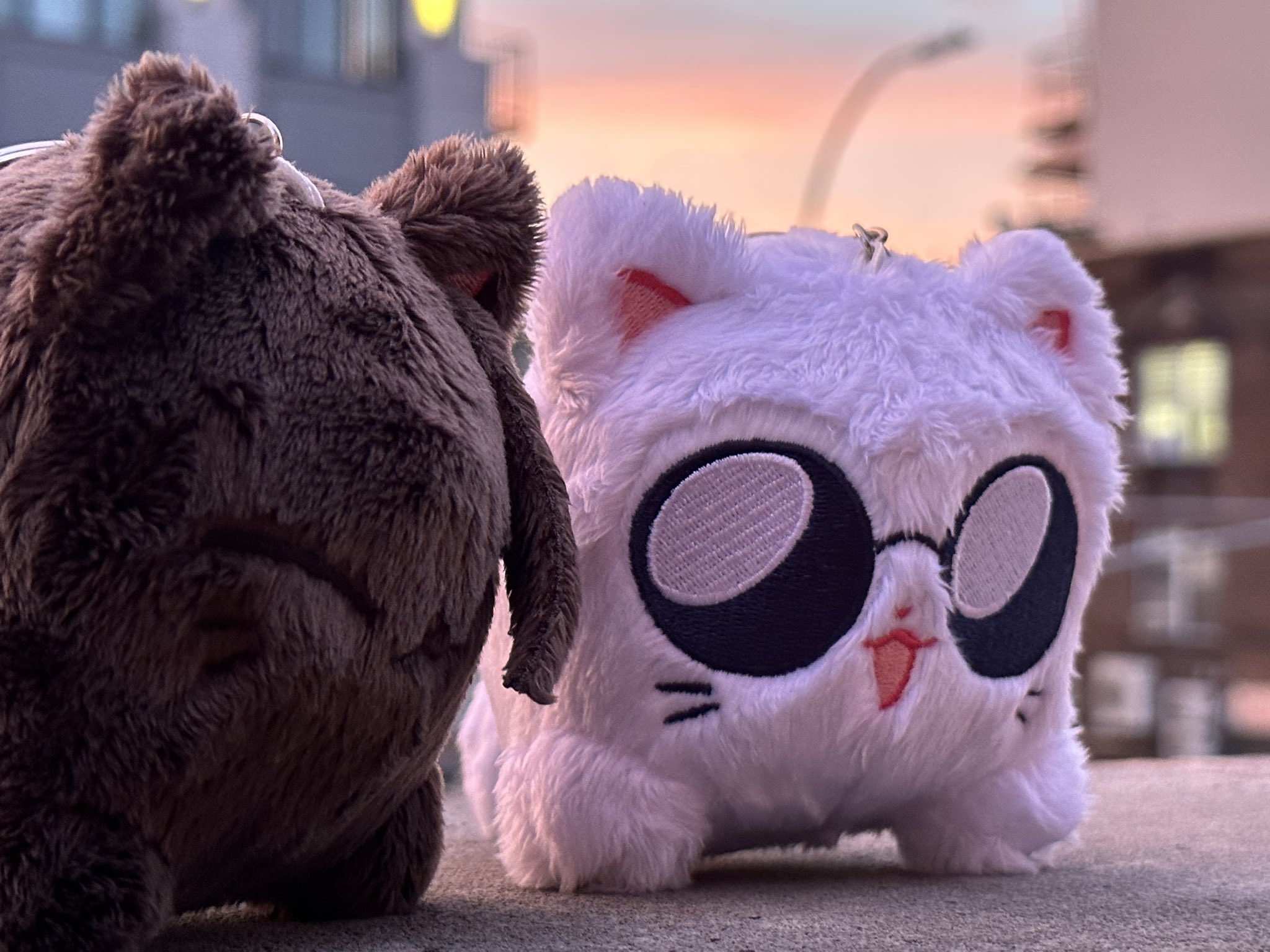 two plush toys, one white cat wearing sunglasses and one brown bear are sitting side by side on a concrete surface. both toys are fluffy and cute. the cat toy is smiling and appears happy. the background is a blurry outoffocus building and sky with a setting sun.  the image captures a sense of friendship and playfulness.