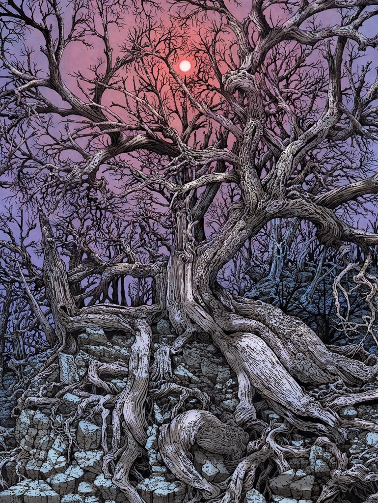this image is a detailed illustration of a large, ancient tree with massive, gnarled roots sprawling over a bed of rocks, possibly ruins. the tree is bare, its branches reaching skyward against a twilight sky with a reddishpink hue and a visible moon or sun. the overall atmosphere is mystical and slightly surreal, suggesting an ancient, possibly enchanted forest. the artwork is highly detailed, with intricate textures in the tree's bark, roots, and the rocky ground. the color palette is predominantly muted tones of purple, pink, gray, and blue.