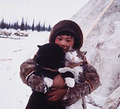 a child wearing a fur coat and a hat is holding two cats in a snowy landscape. there is a tent behind the child and trees in the background.