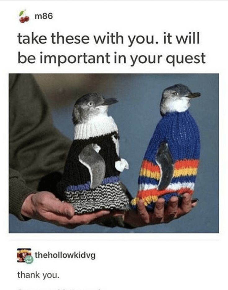 two penguins wearing colorful sweaters are held in the hands of someone. the penguins are cute and funny.  the text above them says "take these with you. it will be important in your quest". this is a meme that is often shared on social media.