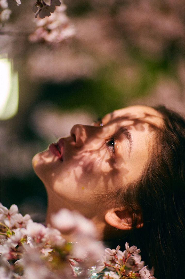 the image is a closeup portrait of a young woman's face, tilted upwards.  she is surrounded by blooming cherry blossoms, their delicate petals creating a soft focus and bokeh effect.  the sunlight filters through the blossoms, casting shadows on the woman's face, which adds a dramatic and ethereal quality.  the overall mood is peaceful, serene, and romantic, evoking a sense of springtime and natural beauty. the woman's expression is calm and contemplative. the setting appears to be outdoors, possibly in a japanese garden given the cherry blossoms.