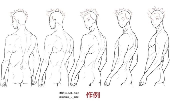 the image showcases a drawing tutorial on male anatomy. it features a series of lineart sketches depicting a male figure from different angles and poses. each sketch outlines the muscles and structure of the body, providing a visual guide for artists to understand and draw the human form. the sketches are clear, detailed, and emphasize the intricacies of the male physique. the overall image serves as a valuable resource for those interested in learning about anatomy and improving their drawing skills.