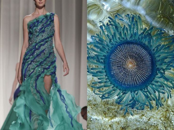this image shows a splitscreen with a woman wearing a teal, blue, and green dress on the left side, and a closeup of a blue jellyfish with intricate designs on the right side. the dress and the jellyfish share the same color scheme and patterns, highlighting the inspiration of nature in fashion design.  the model's dress resembles the jellyfish's intricate body, showcasing how nature can be a source of inspiration for creative designs. the image highlights the connection between the beauty of nature and the artistry of fashion.