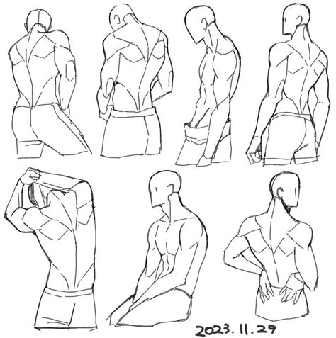 the image consists of seven individual sketches of a muscular male figure, focusing on the back muscles from various angles. each sketch showcases different poses and perspectives, providing a comprehensive study of back anatomy for artists.