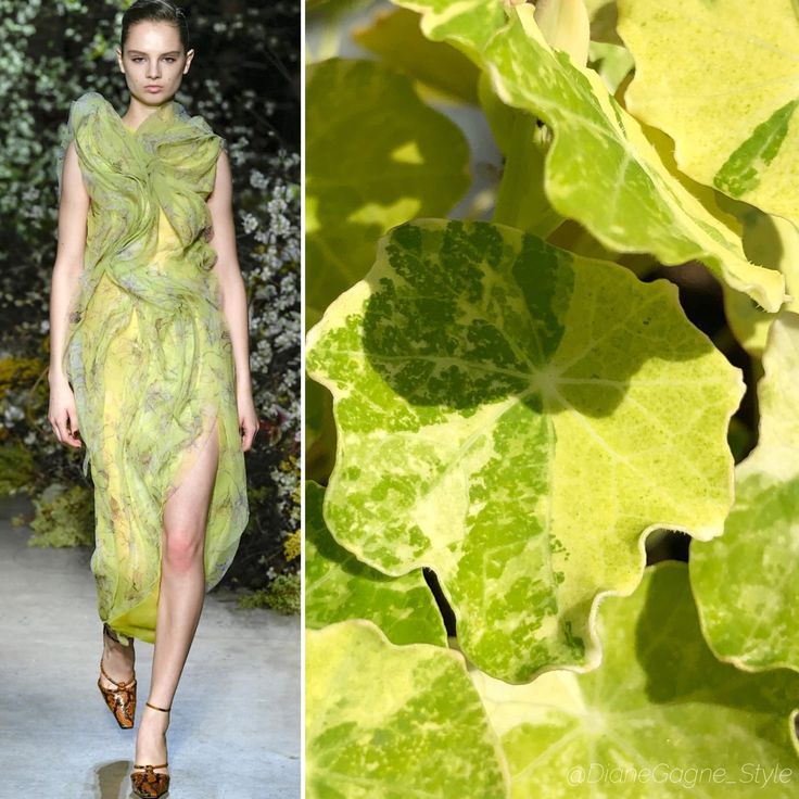 a model in a green and yellow floral dress with a botanical pattern walks the runway. the dress is made of sheer fabric and is cut to show off the model's legs. the model is wearing high heels and accessorized with jewelry. the background is a lush garden setting with green leaves and flowers. the overall feel of the image is chic, elegant, and feminine.