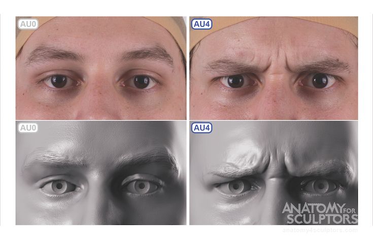 the image showcases the subtle differences in facial expressions, particularly focusing on the au4 (brow lowerer) action unit.  it features a man's face in both neutral and frowning states, depicted in both color and grayscale, likely as a reference for sculpting or anatomical study. the consistent, neutral studio lighting ensures clarity in highlighting the muscle movements responsible for the expression change.