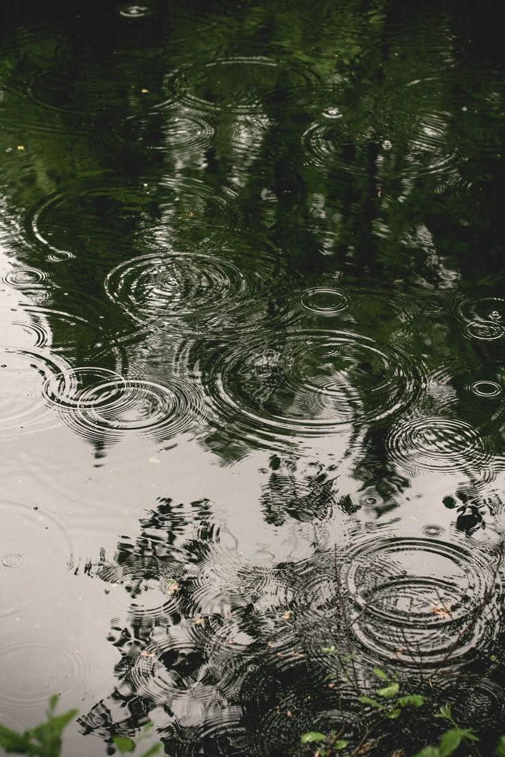 the image shows the surface of water, likely a pond or lake, during a rainfall. numerous ripples and concentric circles emanate from the points where raindrops have hit the water. reflections of trees and leaves are visible on the water's surface, adding to the complexity of the scene. the overall tone is dark and moody, highlighting the natural scene of rain on the water.