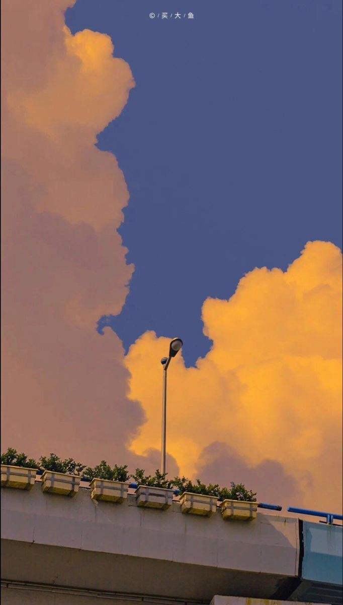 a long shot shows a street light that stands in the middle of a roof with potted plants, a beautiful sky filled with clouds, a sunset coloring the clouds with yellow and orange tones, and a section of blue sky.
