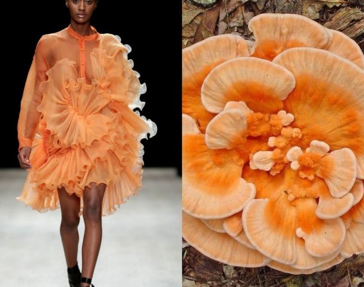 the image showcases a split view, comparing a fashion model in a vibrant orange, ruffled dress on a runway to a naturally occurring orange mushroom. the dress's design and texture strikingly resemble the layered and intricately patterned mushroom, highlighting the potential inspiration that nature can provide for fashion.