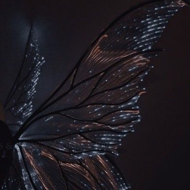 a closeup of a pair of fairy wings with black veins and an iridescent, shimmering surface. the wings are decorated with small, glowing light spots, creating a fantasy and ethereal feel. the background is dark, emphasizing the decorative nature of the wings.