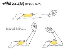 the image is a drawing tutorial on how to draw an arm in different poses. the tutorial is in korean and features three different arm poses, with the biceps muscle highlighted in yellow.