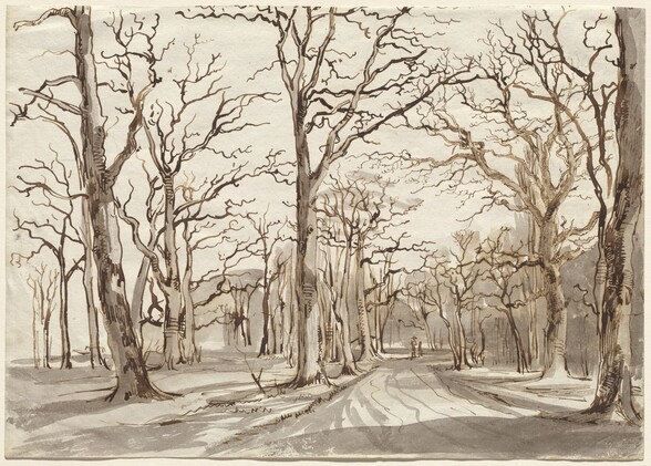 a monochrome drawing depicts a landscape in what appears to be winter or early spring. a path or road stretches into the distance, flanked by tall, bare trees that line both sides. the branches of the trees are intricate and create a dense network against the light sky. a small figure can be seen further down the path. the scene evokes a sense of solitude and the quiet stillness of a winter's day in nature.