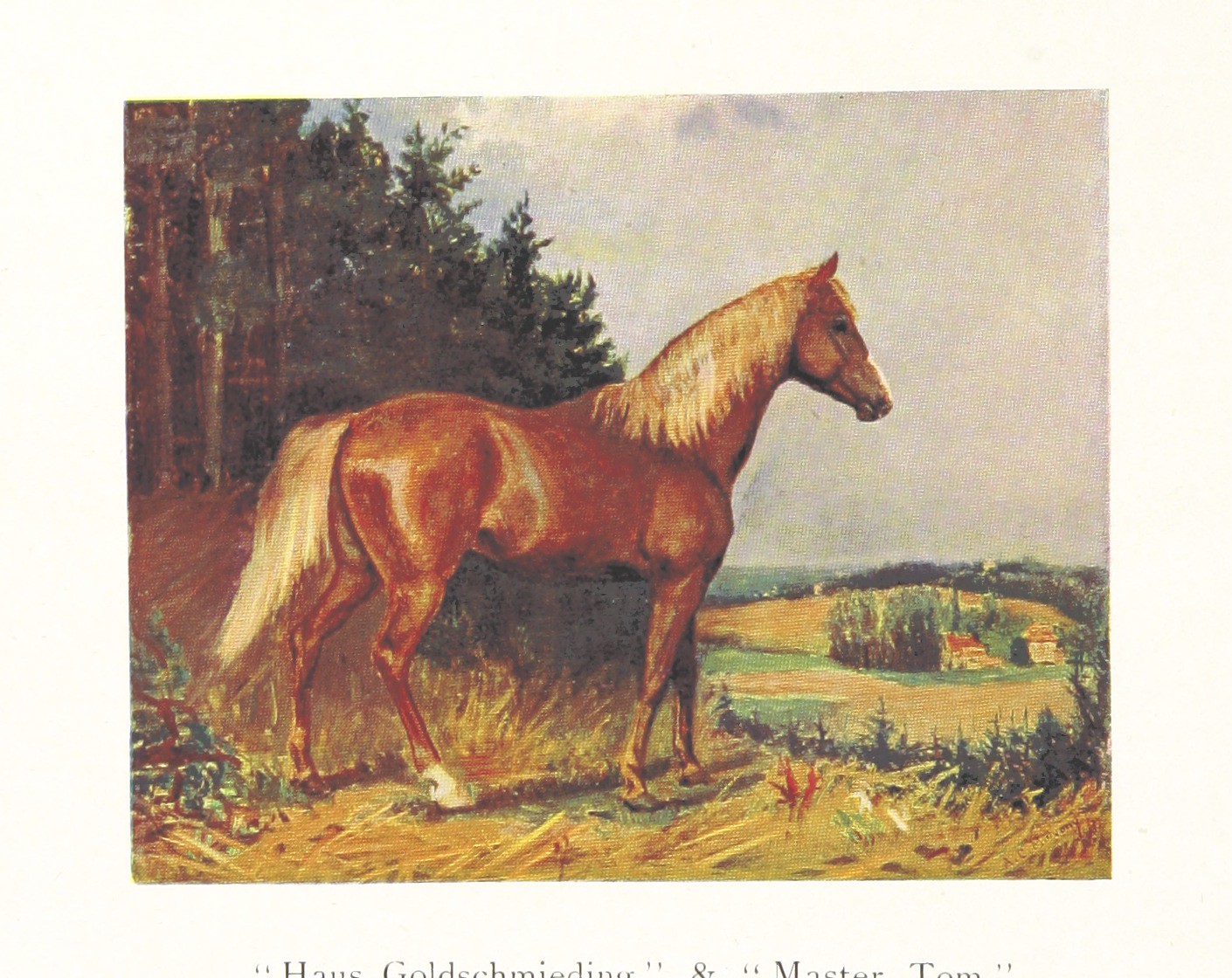 the painting showcases a reddishbrown horse with a flowing blonde mane and tail. it stands proudly in a field, its body angled slightly to the right. the horse's musculature is welldefined, highlighting its strength and grace.  the background depicts a picturesque landscape with rolling hills, a smattering of houses, and a line of dark green trees. the sky is a soft blue with hints of clouds. the scene is bathed in warm, natural light, suggesting a peaceful moment in nature.