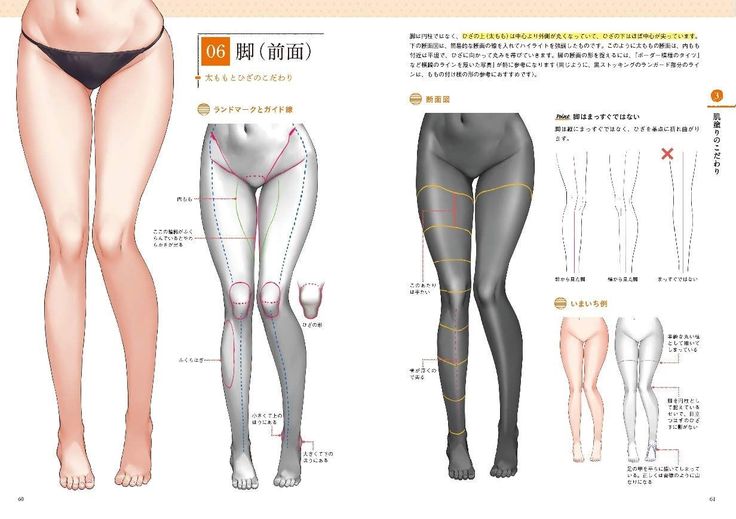 the image is a page from a japanese drawing guidebook. the page shows an anatomy guide for drawing female legs. the page features a drawing of a pair of female legs in the front view. the legs are broken down into sections with lines showing the shapes of the muscles and bones. there are also arrows indicating the flow of the lines. the text at the top of the page is a japanese title that likely reads "legs (front view)" with a description of the details that are important to consider. the rest of the page contains additional information about the shapes and lines of the legs in the front view. the image is useful for anyone who wants to learn to draw the human figure, particularly female legs.