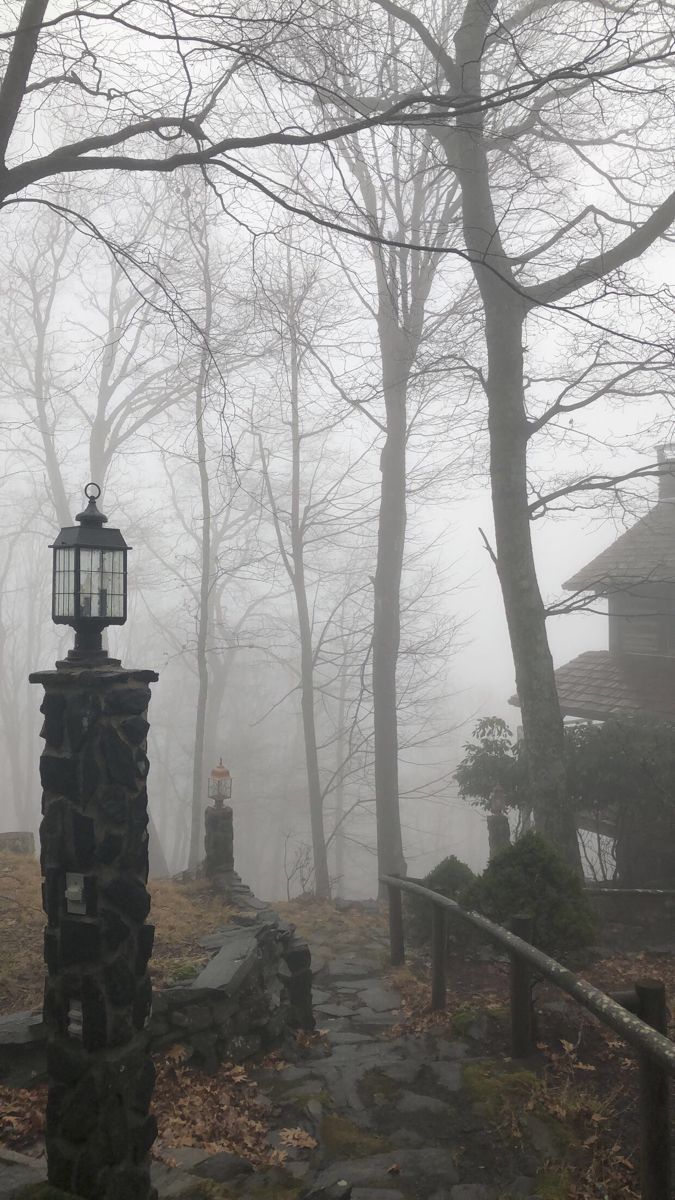 a foggy and overcast scene shows a stone path leading towards a house, with bare trees lining the way. a stone lamp post stands at the edge of the path, with another smaller lamp post visible further down. a wooden railing runs along the path.
