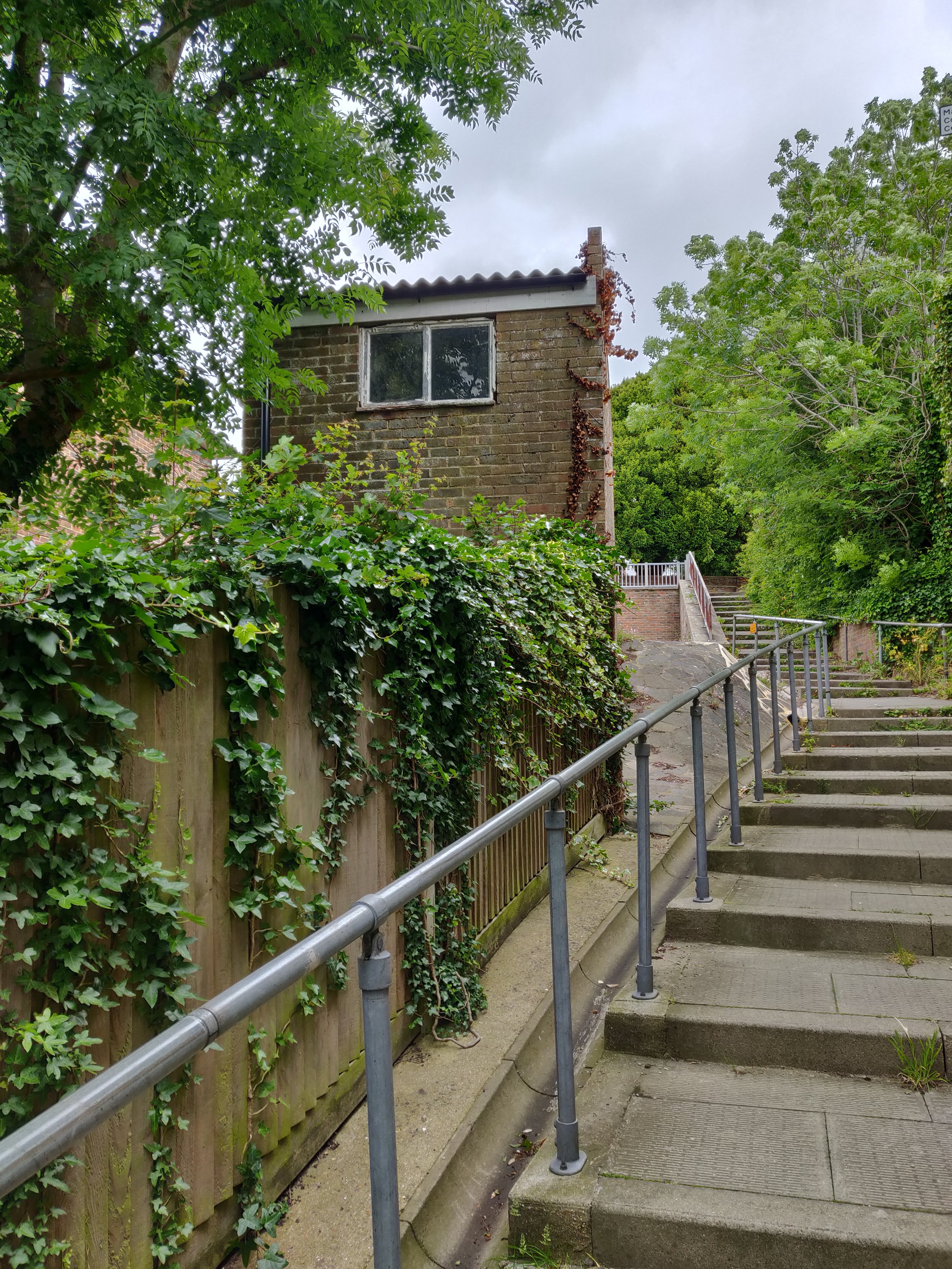 a set of stone steps with a handrail leading up to a brick building with a wooden fence covered in ivy. the sky is a gray overcast color, and the scene is set in the summer.