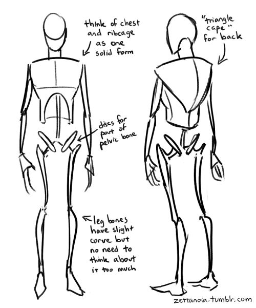 the image is a drawing tutorial demonstrating how to draw a human figure from the front and back. it focuses on simplifying the body's structure by emphasizing key forms like the ribcage and pelvis, represented as simplified shapes. the tutorial provides guidance on visualizing the ribcage and pelvis as solid forms, describes the leg bones as having a slight curve, and suggests thinking of the back as a "triangle cape."  the drawings show a basic skeletal structure and are presented as quick sketches, guiding the artist on how to construct the figure's form. the style is loose and expressive.