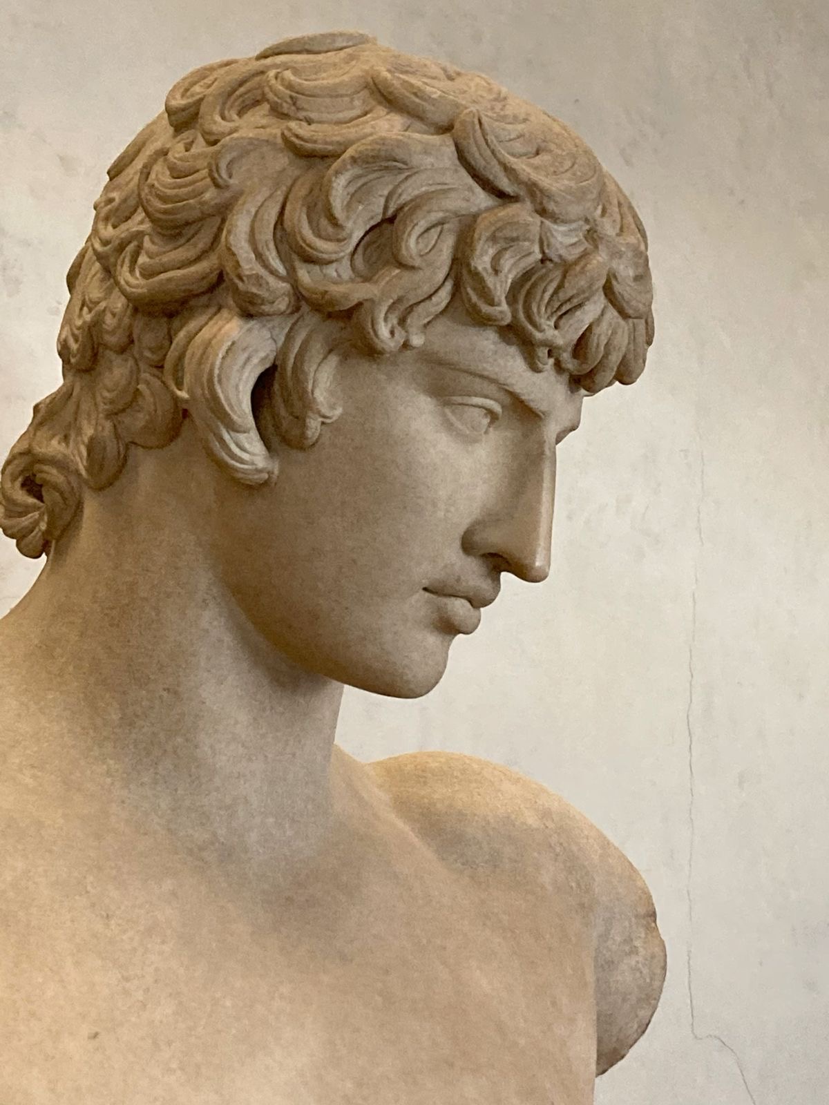 a closeup view of a marble bust of a young man, possibly from the roman era. the sculpture showcases intricate details of the subject's hair, facial features, and musculature. the lighting is soft, highlighting the smooth texture of the marble.