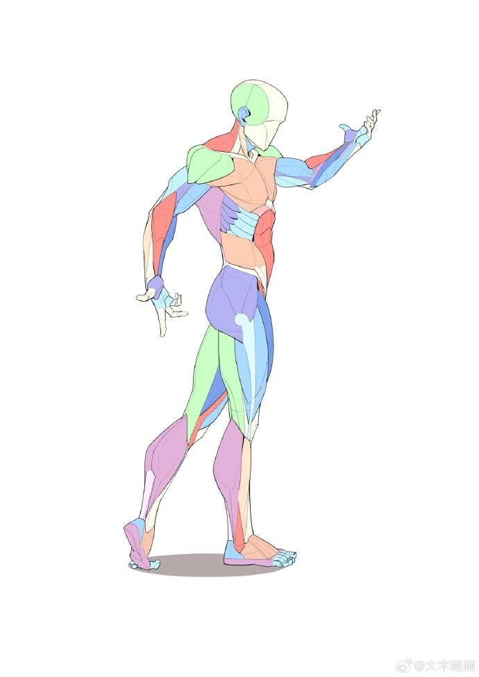 the image is a stylized anatomical drawing of a male figure in a walking pose.  the figure is depicted from a threequarter view, showing the musculature of the body in various pastel colors. each muscle group is clearly delineated, making it a useful reference for artists studying human anatomy. the style is clean and relatively simple, focusing on the clarity of the muscle forms.  the figure is not hyperrealistic but instead presents a clear and aesthetically pleasing representation of the body's structure.