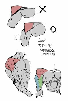 the image is a black and white anatomical sketch showcasing the correct way to draw arm muscles. it provides different angles and highlights common mistakes with red 'x' marks and correct examples with green checkmarks. korean text offers further explanation.