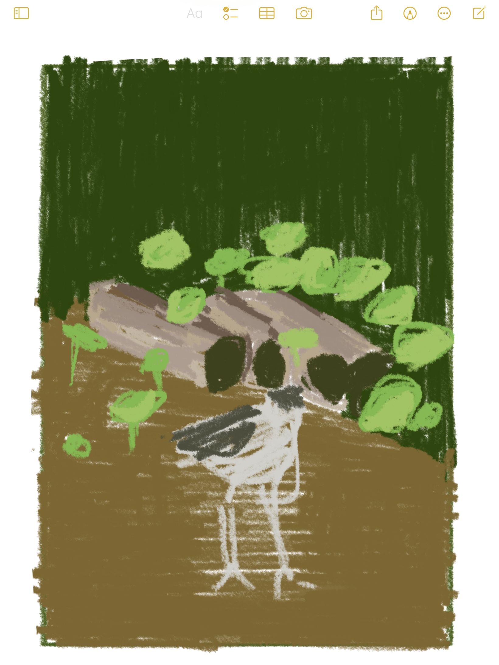 the image is a stylized digital drawing or painting of a bird, possibly an emu or similar bird species, standing in front of a dark green background that appears to be a bush or hedge.  the bird is rendered simply, with visible brushstrokes giving it a textured appearance. there are smaller green plants and brown earth at the base of the shrubbery.  the artistic style is somewhat childlike or naive, with simple shapes and textures used to represent the elements. the overall color palette is muted greens, browns, and the bird's grayishwhite.