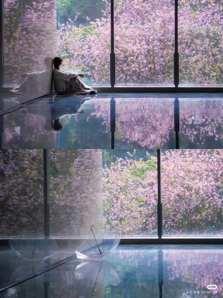 the image shows a woman sitting by a large window overlooking a serene scene of blooming pink cherry blossom trees. the floor is highly reflective, creating a mirror image of the blossoms and the woman.  a transparent umbrella lies on the polished floor. the overall atmosphere is one of peace and tranquility.  the style is modern and minimalist, possibly with an asian aesthetic influence.