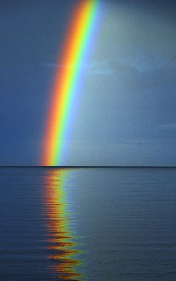 a vibrant rainbow arches over a calm, blue ocean. the sky is a soft blue with wispy clouds. the rainbow's reflection shimmers on the water's surface. the scene evokes a feeling of tranquility and peace.