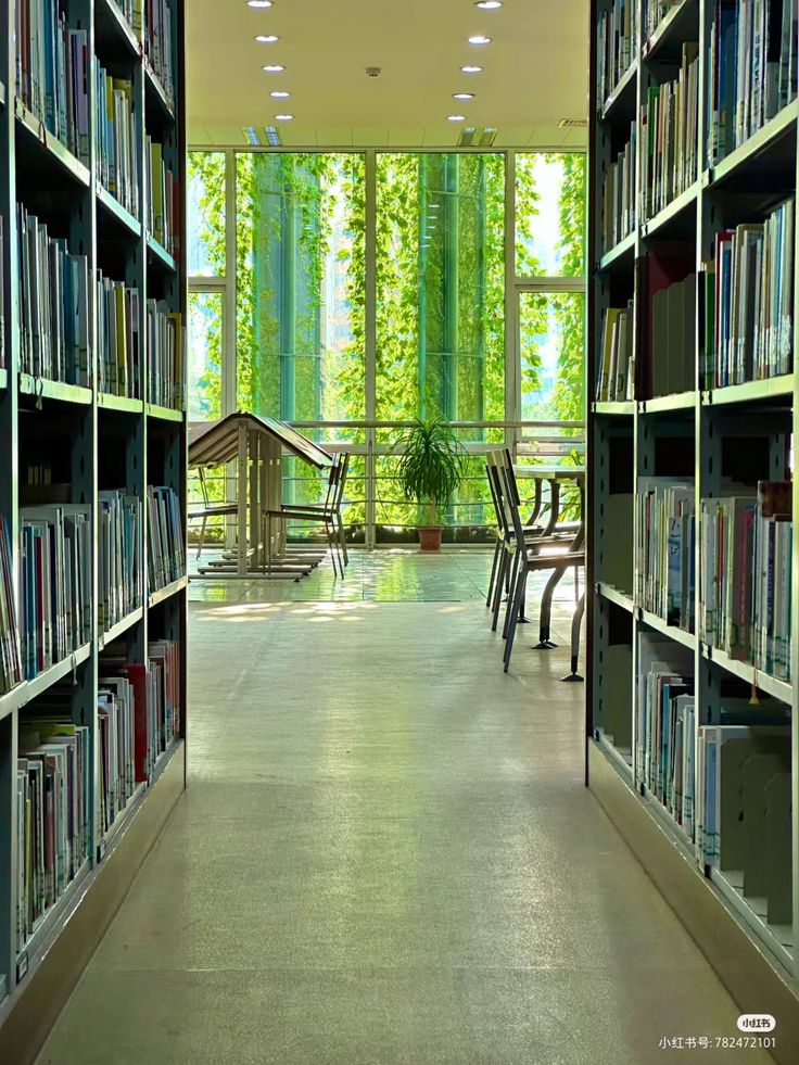 the image shows a tranquil library interior.  two long bookshelves line a hallway, filled with numerous books.  the hallway leads to a large windowed area, where sunlight streams in, illuminating a small seating area with tables and chairs. lush green ivy or vines grow along the exterior of the windows, creating a natural and calming backdrop. the overall ambiance is one of peace and quiet, ideal for studying or reading. the floor is a polished concrete, and the lighting is soft and diffused. the scene is aesthetically pleasing and suggestive of a calm and productive environment.