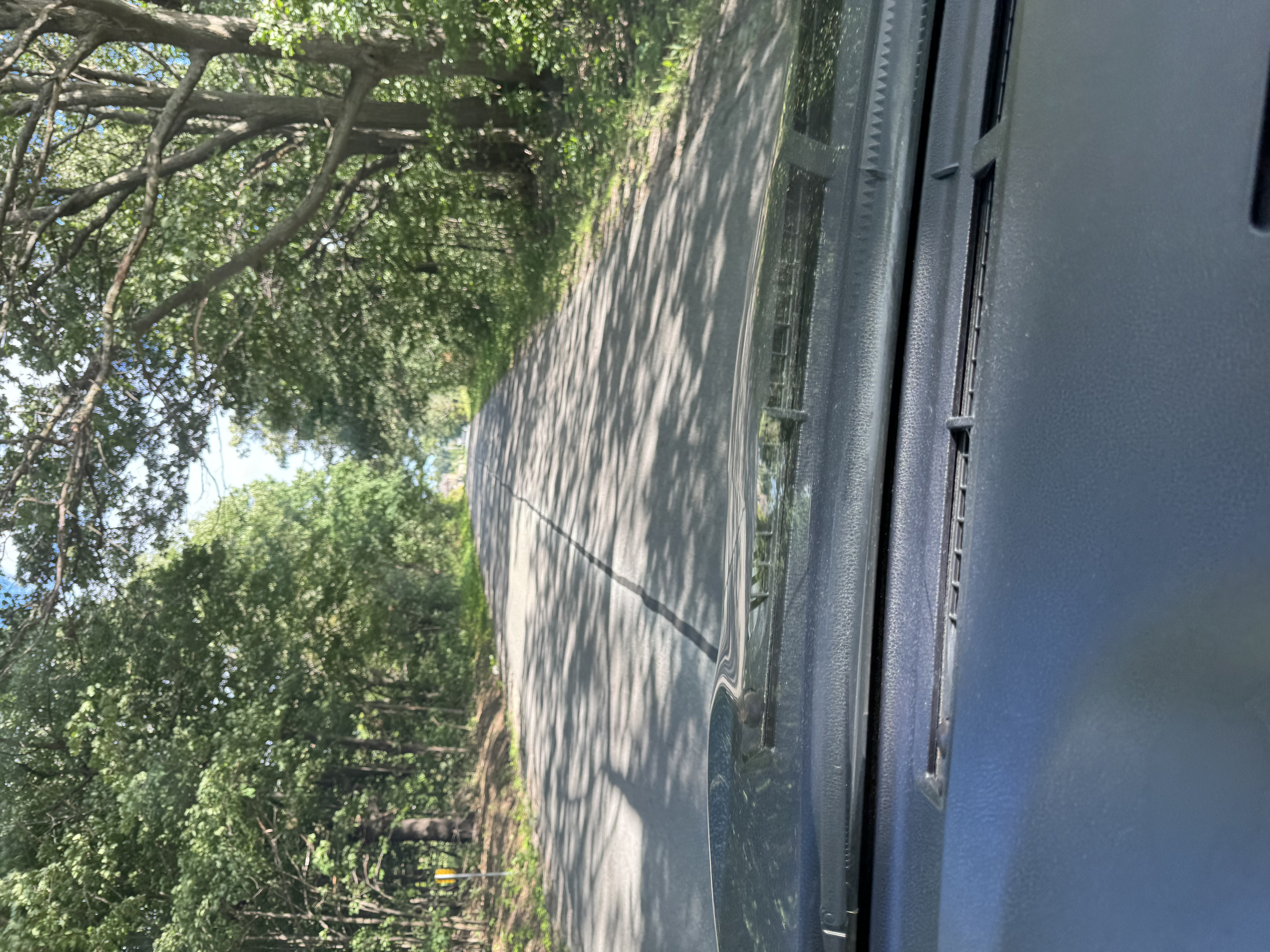 the image is a view from the driver's seat of a car driving down a paved road.  lush green trees line both sides of the road, creating a canopy overhead.  sunlight filters through the trees, casting dappled shadows on the road. the focus is on the road ahead, giving a sense of movement and journey.