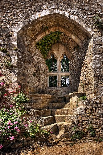 a stone building facade features a gothicstyle window with climbing plants and ivy growing around it. stone stairs lead up to the window, and flowers are visible on the left side of the structure. the building appears old and weathered, with a textured stone surface.