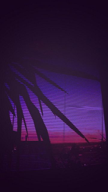 a silhouette of a palm tree is seen through a window with blinds. the sun is setting in the background, casting a purple and pink hue over the city skyline. the image has a dark and moody aesthetic.