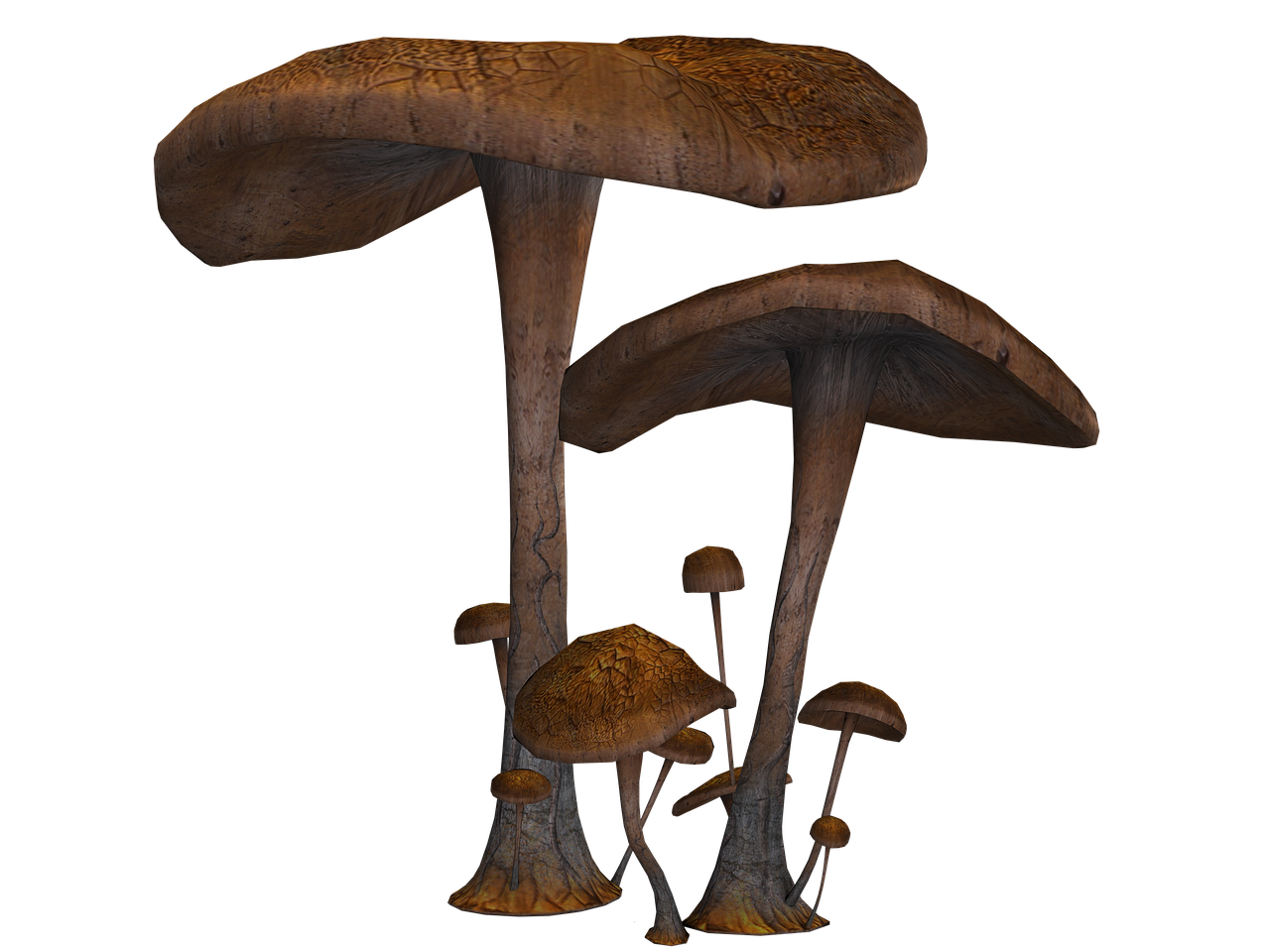 a group of brown mushrooms of varying sizes, some with large caps and tall stems, are clustered together against a black background. the mushrooms have a textured, organic appearance.