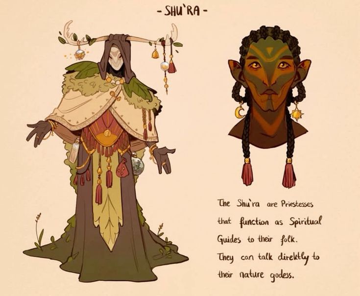 the image is a fantasy illustration of a priestess, known as a shu'ra. she is depicted as a tall, slender figure with long braided black hair adorned with ornate earrings. she wears a long flowing green and brown robe with a cloak over top. she has a serene expression and appears to be holding a small, glowing orb. the illustration is set against a backdrop of a forest, and a descriptive caption explains that these priestesses are spiritual guides who are able to talk directly to the nature goddess.
