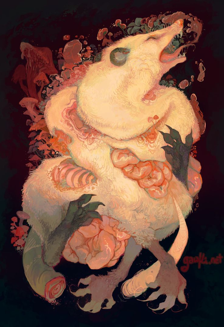the image is a digital painting of a fantastical opossumlike creature. the creature is pale, almost white, with fluffy fur, but its anatomy is strangely exposed in places, revealing internal organs that resemble fleshy mushrooms or coral. it is surrounded by a dark background with a variety of mushrooms and other fungal growths. the creature's pose is dynamic, with its mouth open in a cry, and its claws extended. the overall style is surreal and dreamlike, blending elements of fantasy and biological detail. the color palette is muted, with earthy tones of peach, beige, brown, and orange against the dark background, creating a somewhat eerie and whimsical atmosphere. the artist's signature is subtly visible in the lower right corner.