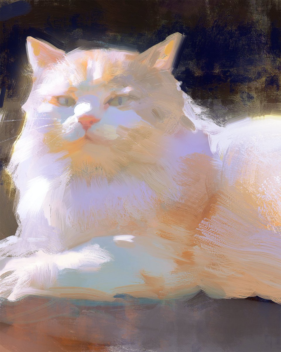 this is a digital painting of a fluffy white and orange cat with green eyes. the cat is lying down and facing the viewer. the background is dark and blurry, and the cat is illuminated by warm sunlight. the painting has a soft and painterly style.