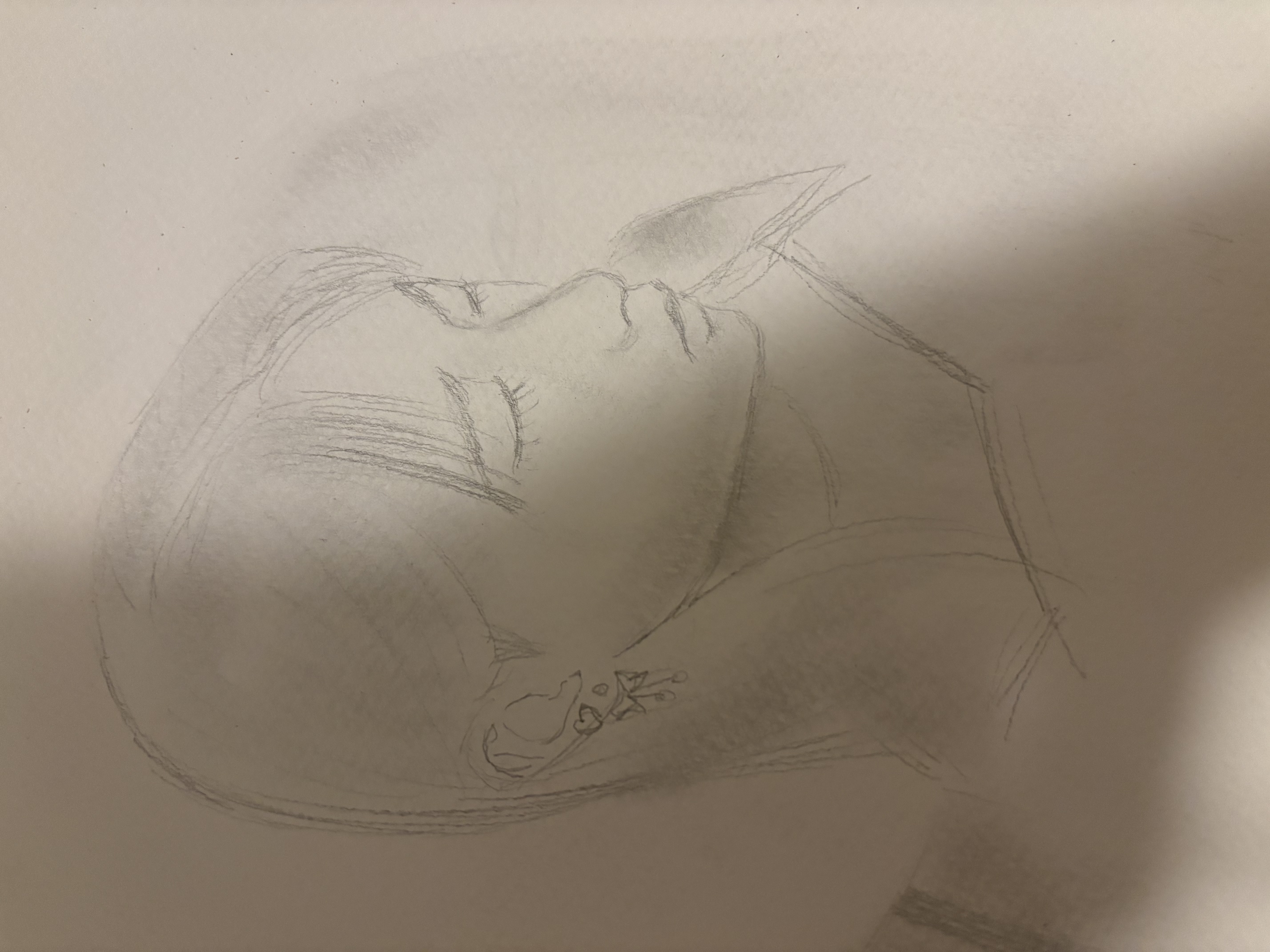 a pencil sketch of a young woman in profile. she has long hair, closed eyes, and is wearing earrings.
