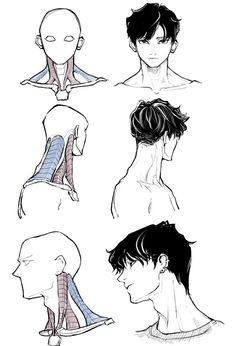 this is a collection of sketches of a male neck, showing the musculature and bone structure from different angles.