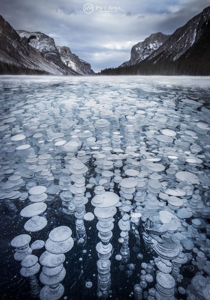the image captures a winter scene of abraham lake in alberta, canada. the lake is covered in ice, and the defining feature is the multitude of frozen methane bubbles trapped beneath the surface, creating a unique visual effect. in the background, snowcapped mountains rise against a cloudy sky, completing the winter landscape. the photography is by paul zizka.