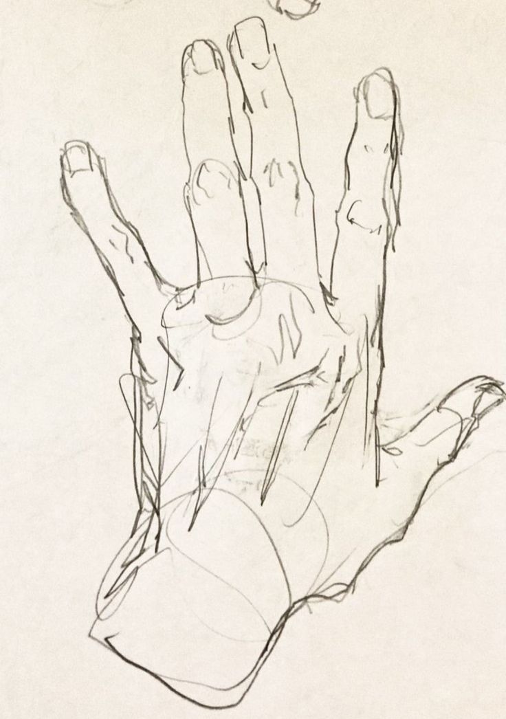 a hand sketch drawn in pencil on white paper. the hand is depicted in a relaxed, open position with the palm facing upwards and all five fingers outstretched. the artist has captured the fine details of the hand's anatomy, such as the wrinkles, creases, and tendons. the sketch is done with loose, expressive lines, giving it a dynamic and spontaneous feel.