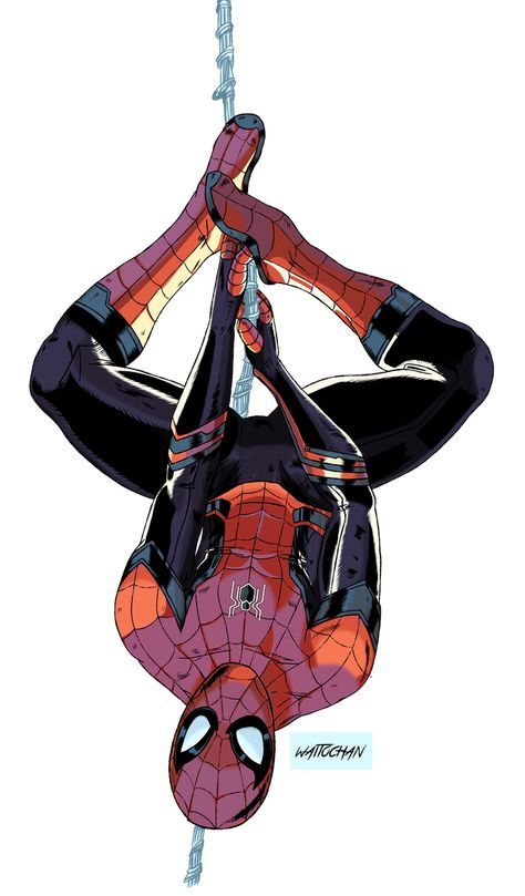 this is a comic book illustration of spiderman. he's dressed in his classic red and blue suit with his mask on. he's hanging upside down on a web, using his legs to hold on. the image is drawn in a cartoon style, with bold lines and bright colors.