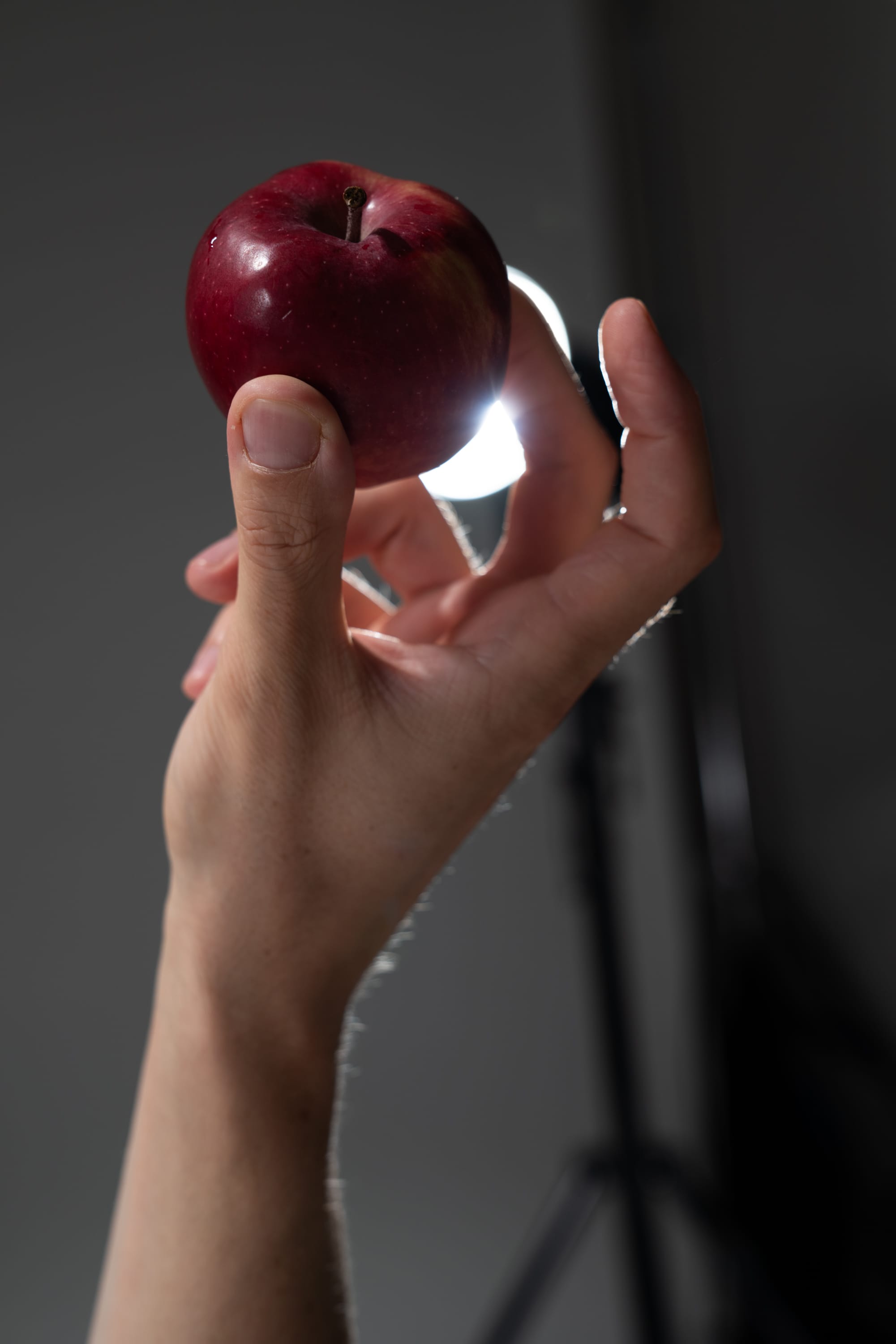 a hand holds a red apple under studio lighting. the background is a dark gray. the apple is in focus and the hand is slightly out of focus.